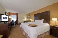 햄프턴 인 앤더슨