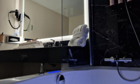 Hôtel Mercure Orléans Centre Bords de Loire