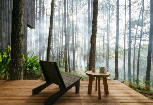 1. 모 스테이 - ..