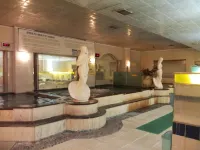Kyungha Spa Hotel - balneario