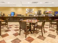 Comfort Inn & Suites Frisco East - McKinney