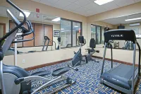 Holiday Inn Express RICHMOND AIRPORT by IHG - Gym