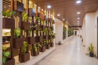 Evoke Premium Candolim North Goa - Condos