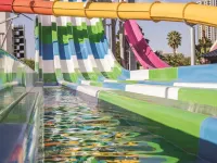 Circus Circus Hotel, Casino & Theme Park Hotels in Clark County