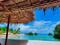 Whispering Palms Island Resort - Beach