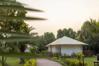 Clarks Safari Ranthambore