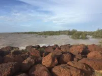 Mud Crab Motel Hotel di Derby