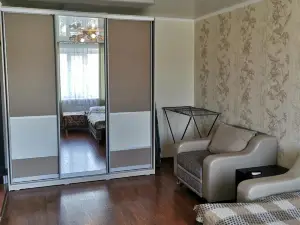 1 room apartment in the center