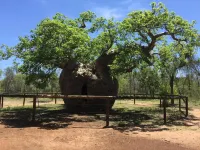 Mud Crab Motel Hotel di Derby