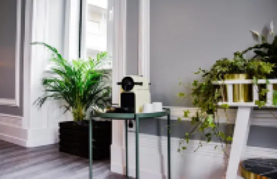 埃斯特雷拉-由海格套房管理