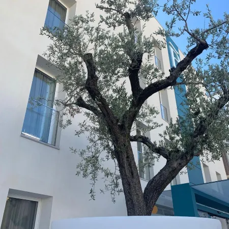 Biancodonda Greenblu Hotel & Spa