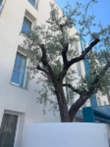 Biancodonda Greenblu Hotel & Spa