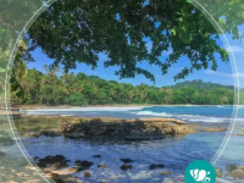 Villas del Caribe Hotels in Cocles