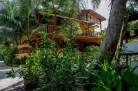 Detour Beach View Hotel di Hangnaameedhoo
