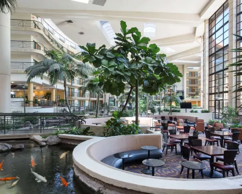 Embassy Suites by Hilton Phoenix Biltmore Khu vực công cộng Photos
