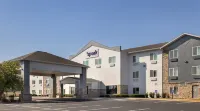 Spark by Hilton Ames