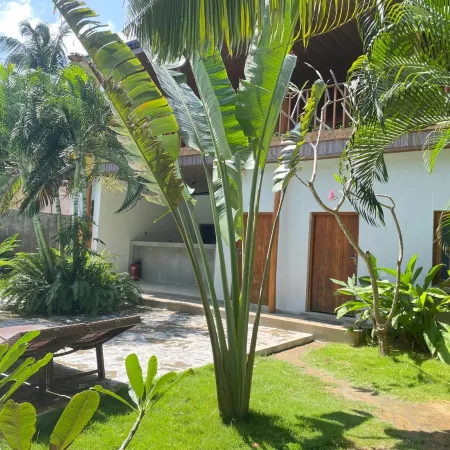 Surf Gangs Arugambay Hotels in Arugam