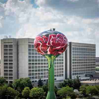 Staybridge Suites CHICAGO O'HARE - ROSEMONT by IHG Hotel Exterior
