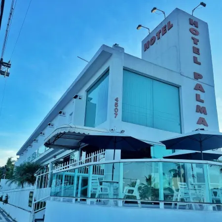 Hotel Palmar
