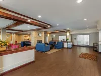 Comfort Suites North Dallas Hotels near Park Central