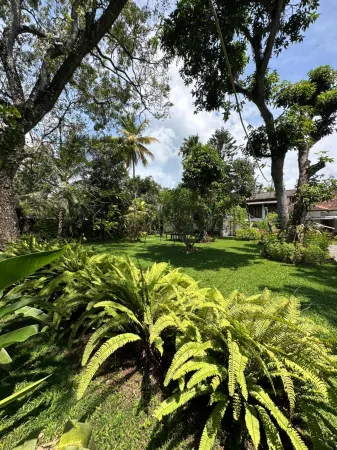 Mango Tree Villa Отели рядом с достопримечательностью «Рамассала»