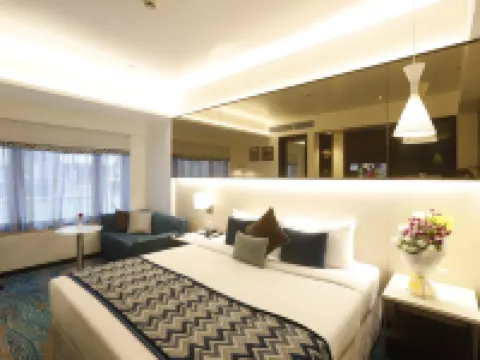 薩西爾飯店 甘地故居博物館附近的飯店