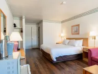 Motel Torrey Hotels in Torrey