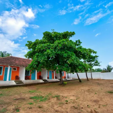 Papilio Beach Front Cottages