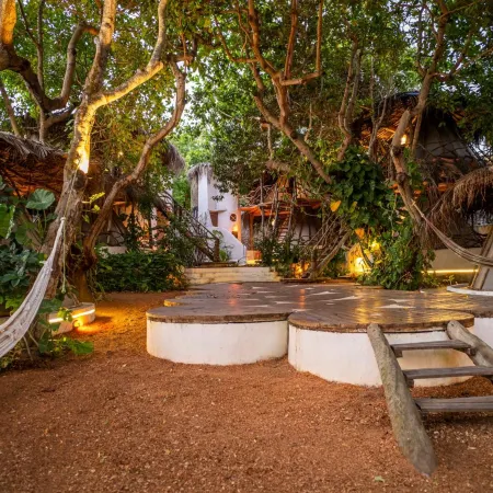 Treehouse Kitecamp Jericoacoara