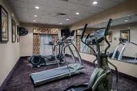 Holiday Inn Express & Suites YOUNGSTOWN N (WARREN/NILES) by IHG - Fitnessstudio