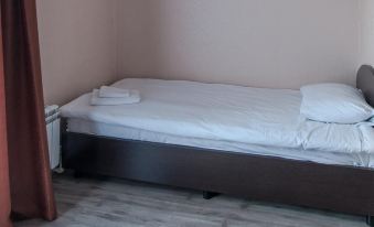 Bazilik Chaplyigin