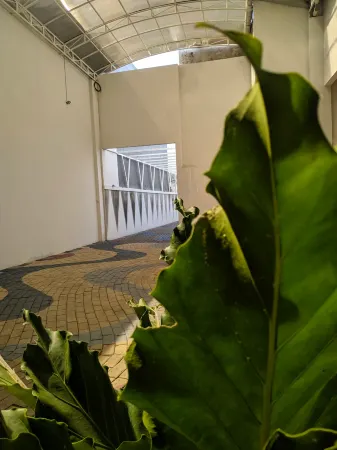 Edelweiss Homestay Malang Отели в г. Blimbing