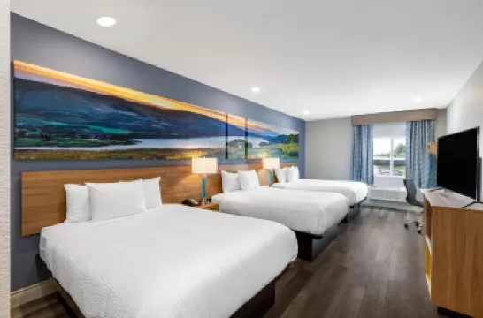 Days Inn & Suites by Wyndham Downtown/University of Houston Hotels near Houston Museum District