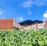 Sikidang Glamping Dieng Hotels in Batur
