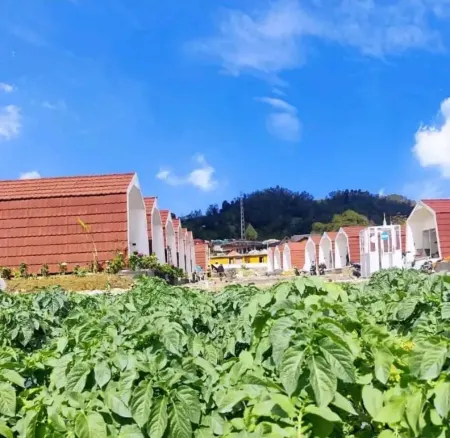 Sikidang Glamping Dieng Отели в г. Pejawaran