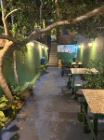 Onça da Praia Hostel Hoteles en 