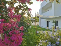 Green Land Boutique Hotel - Homestays