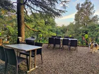 Jakhu Vibes 심라 호텔