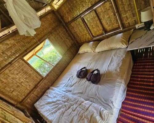 Samui Camping Farm Hotels near Buffalo Fighting