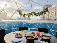 Unscripted Durham - JDV by Hyatt