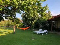 Galeria in the Garden - Pools