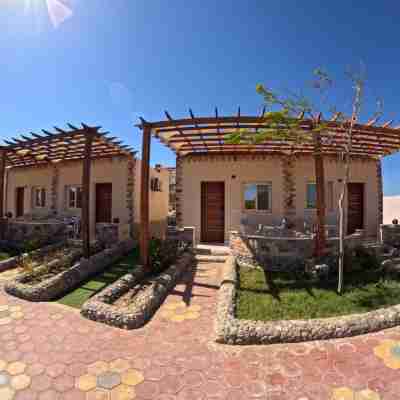 Dolphin Continental Hotel Hotel Exterior