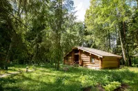 Ekootel "romanov Les"