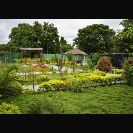 Falcon Jungle Resort