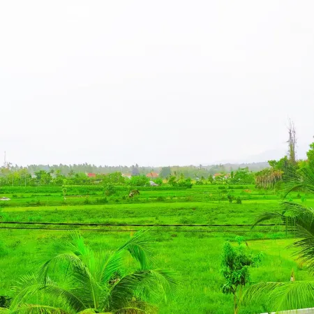 Puri Lovina Hotel