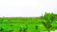 Puri Lovina Hotel - Mountain view