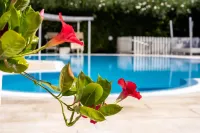 Hotel Aria di Mare - Beach