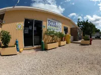 Sand Dollar Bonaire