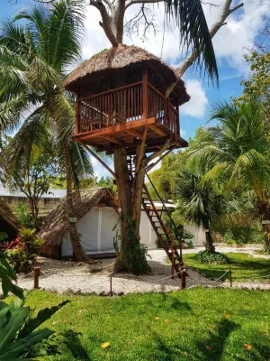 El Búho Bacalar Eco-Cabañas Hostal - Homestays