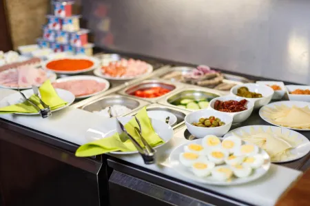 Hotel Veronika Отели в г. Фридек-Мистек